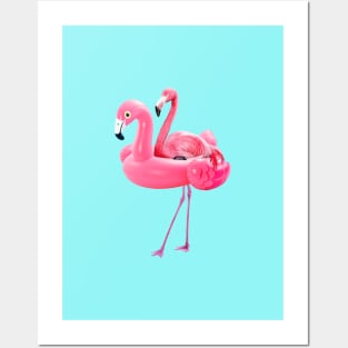 Flamingo on resort Posters and Art